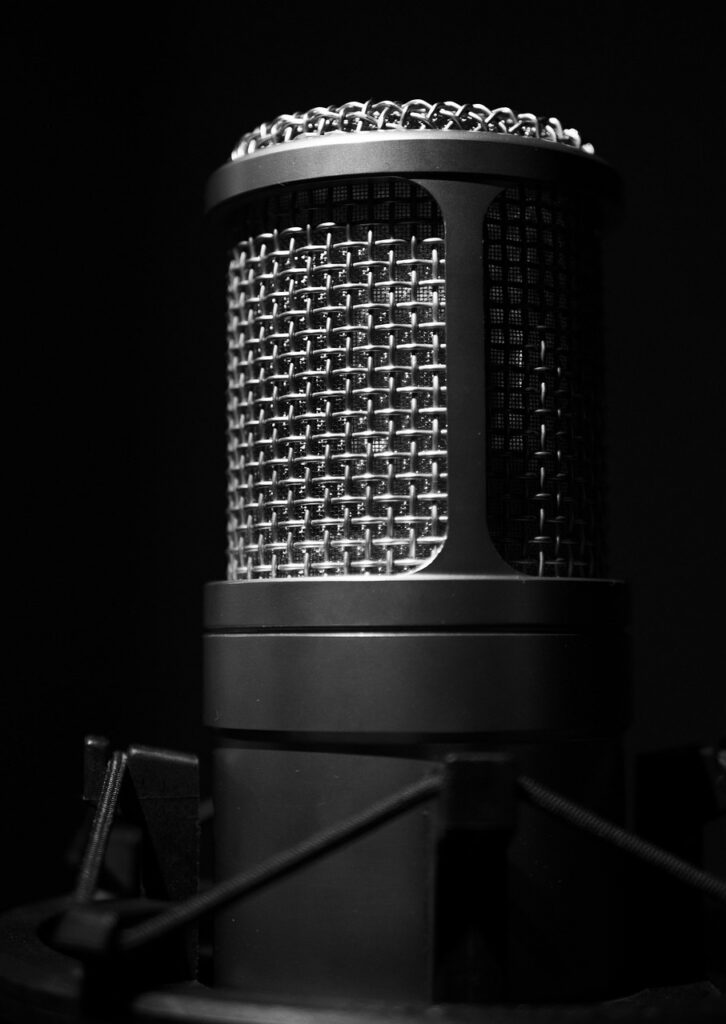 microphone, singing, his, song, registration, music, recording studio